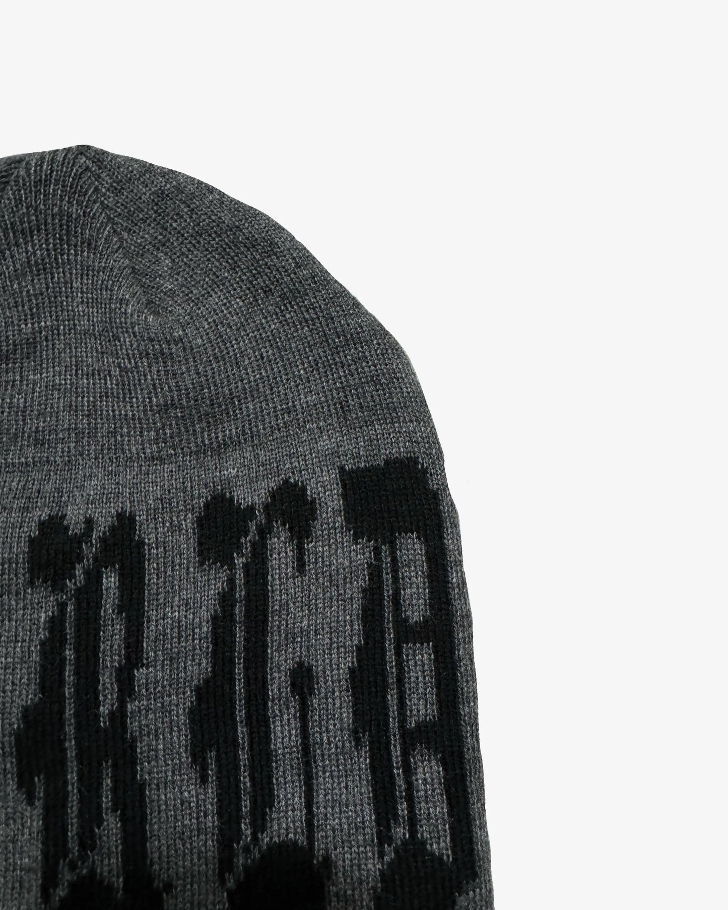 World Logo Beanie ForTheWorld